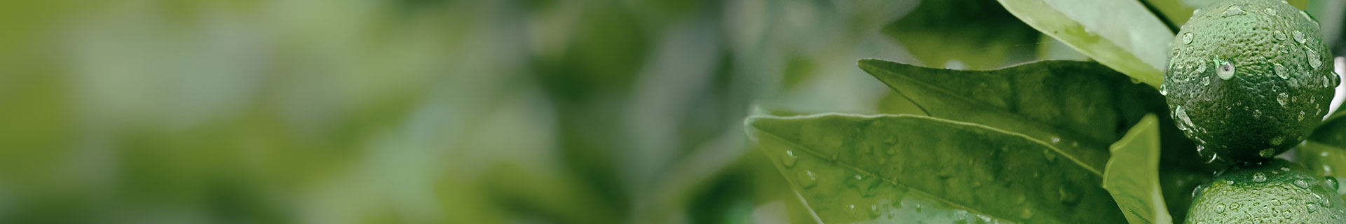 Green-Chemistry-header